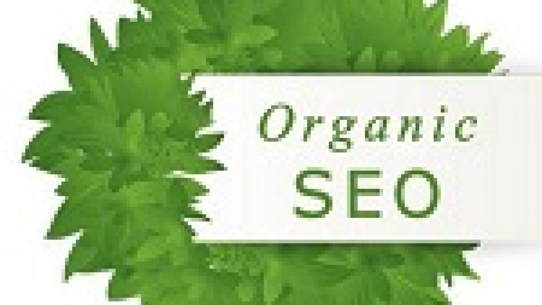 6 INDISPENSABLE TIPS FOR ORGANIC SEARCH ENGINE OPTIMIZATION (SEO)