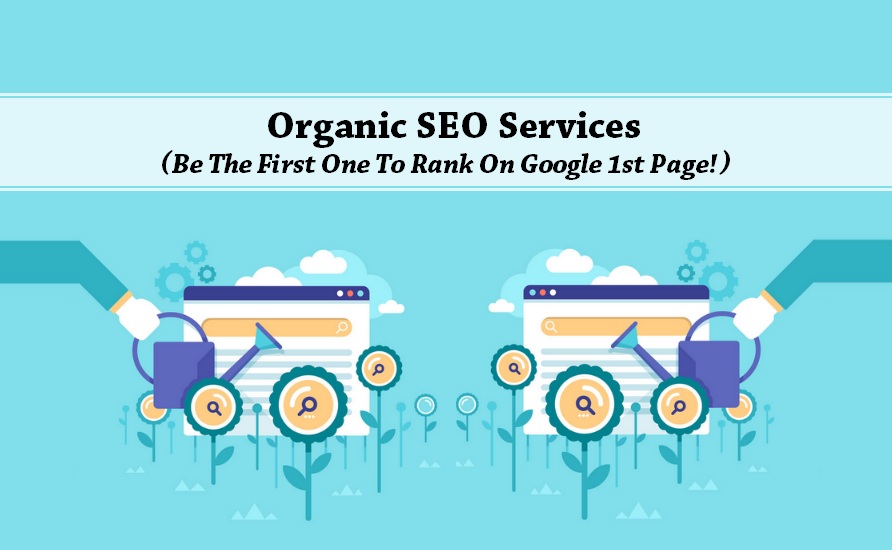 Top SEO Specialist India - No.1 Organic SEO Services Delhi - TIIT Solutions