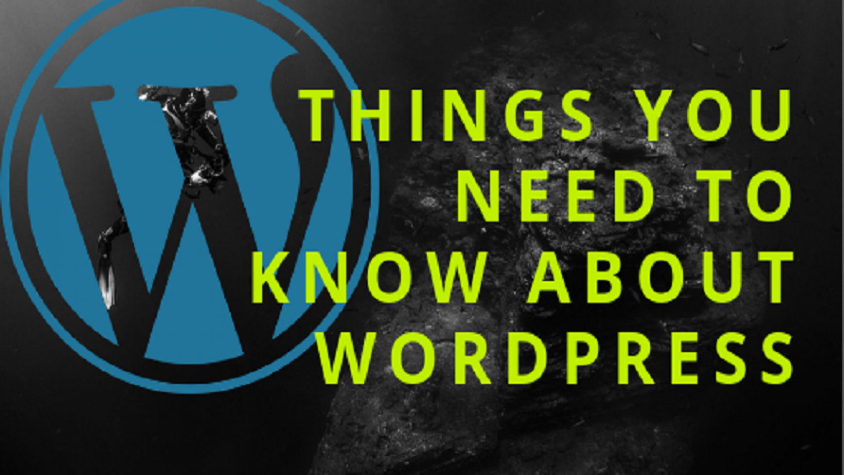 Things You Need To Know About WordPress