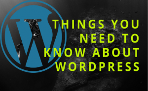 Need To Know About Wordpress