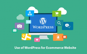 Use WordPress for Ecommerce website
